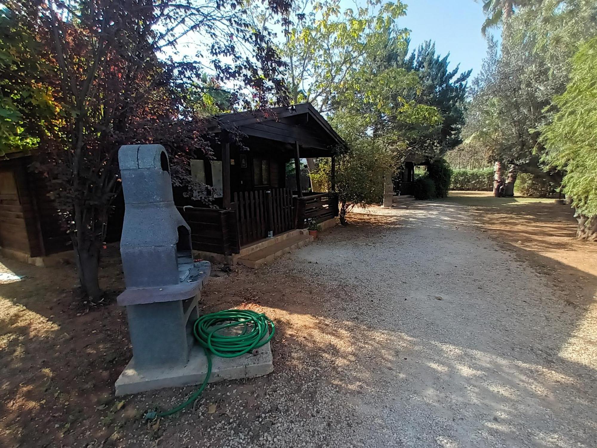 Entre Viejos Olivos Villa Benicolet Bagian luar foto