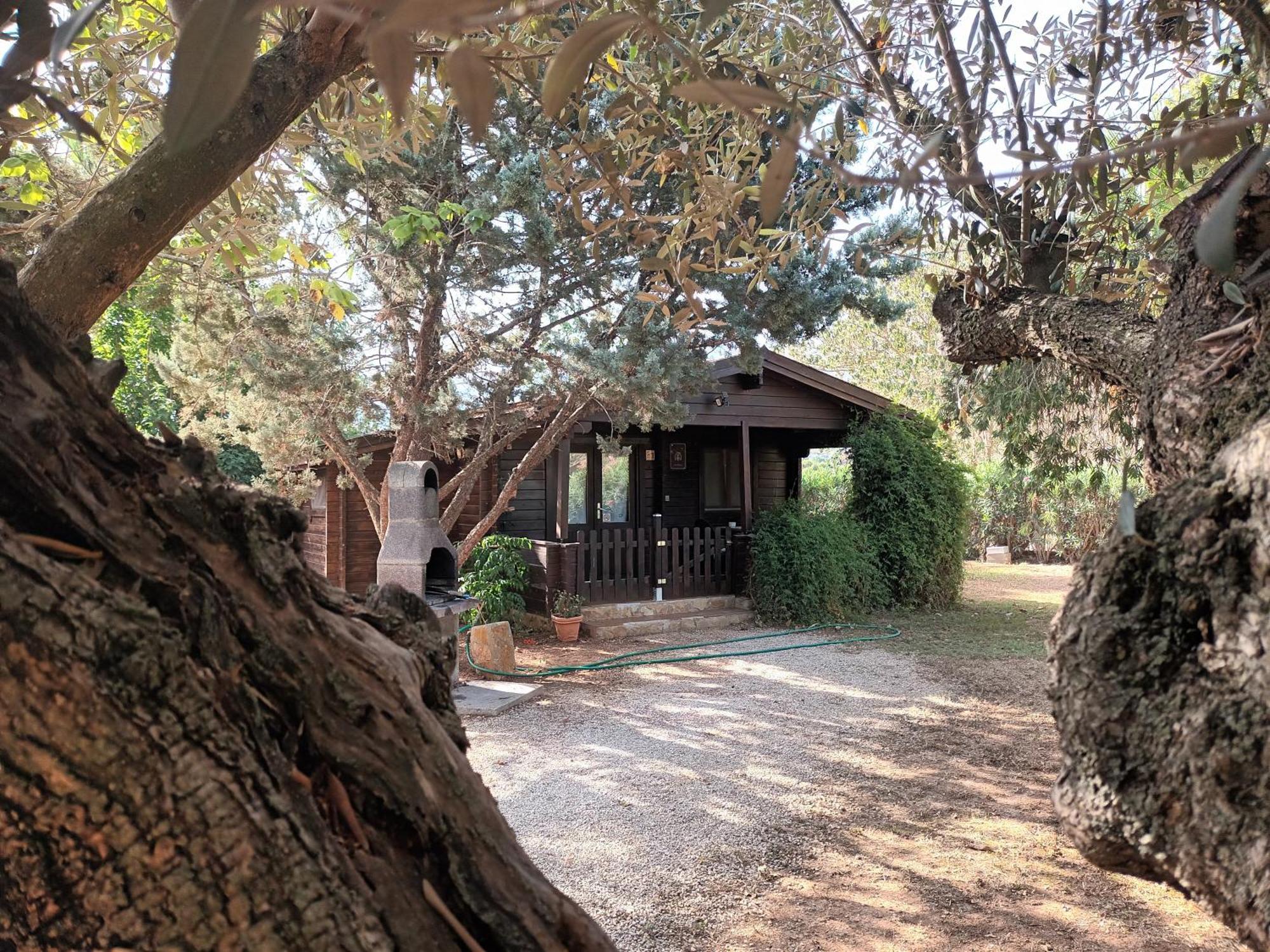 Entre Viejos Olivos Villa Benicolet Bagian luar foto