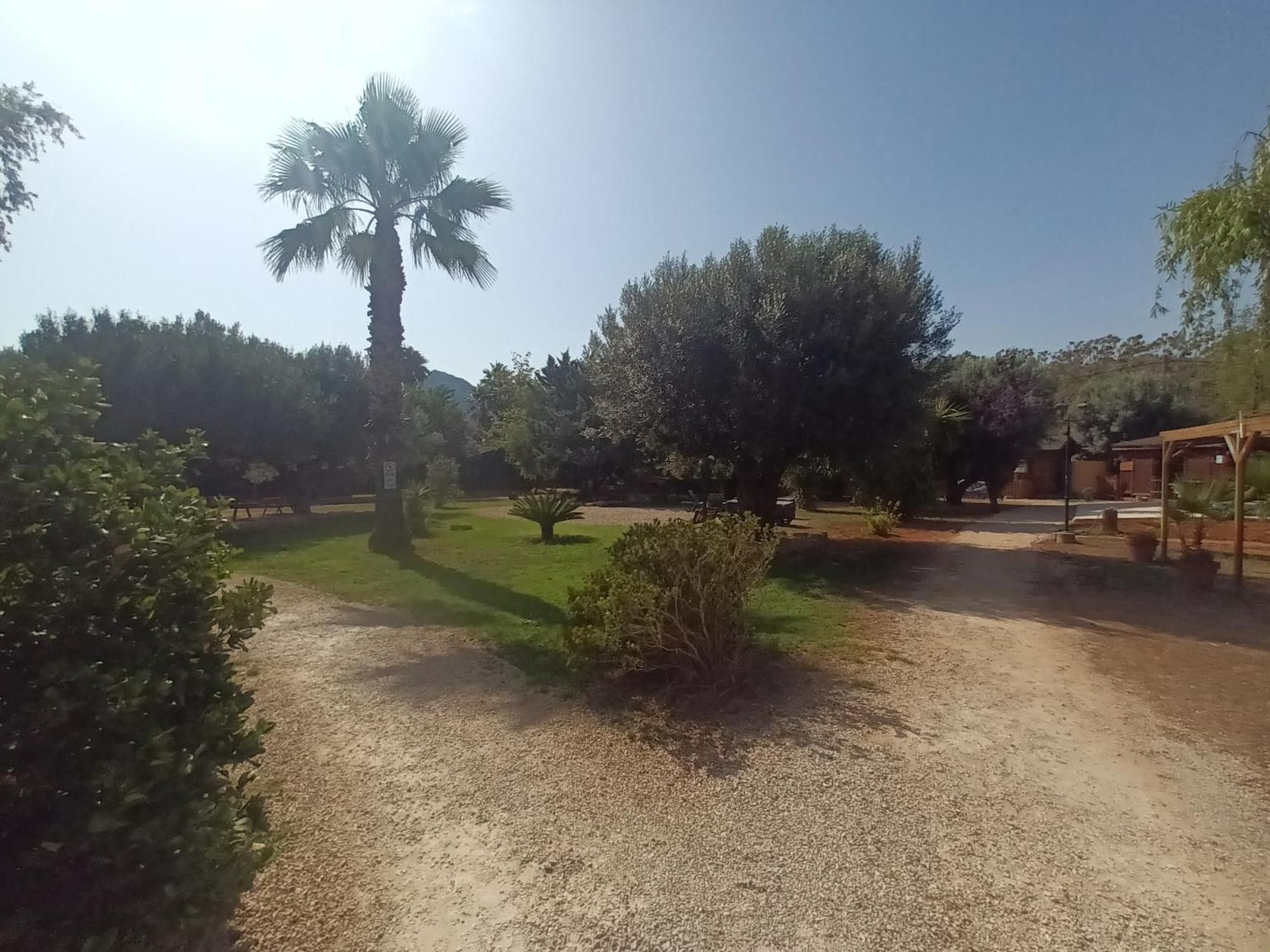 Entre Viejos Olivos Villa Benicolet Bagian luar foto