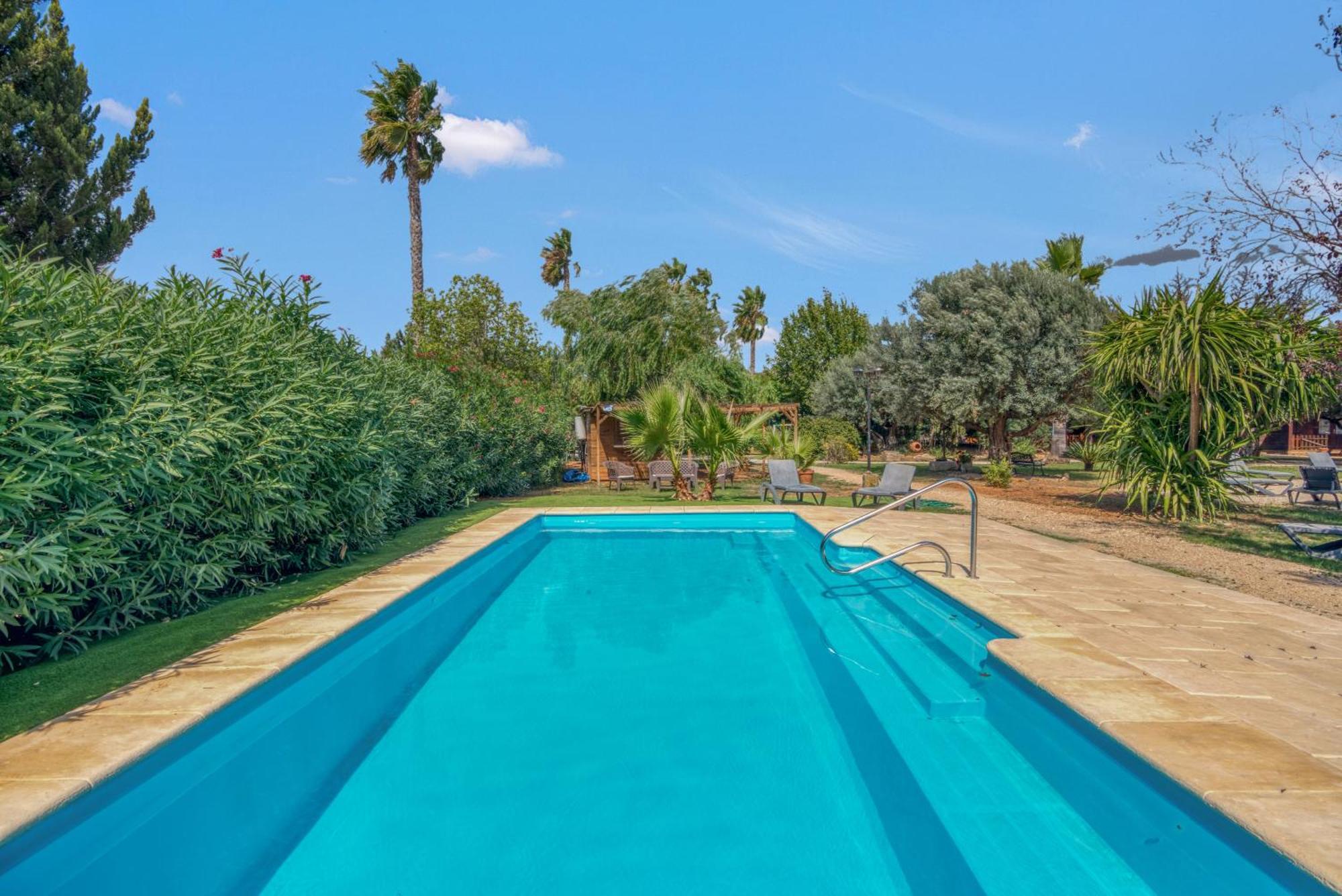 Entre Viejos Olivos Villa Benicolet Bagian luar foto