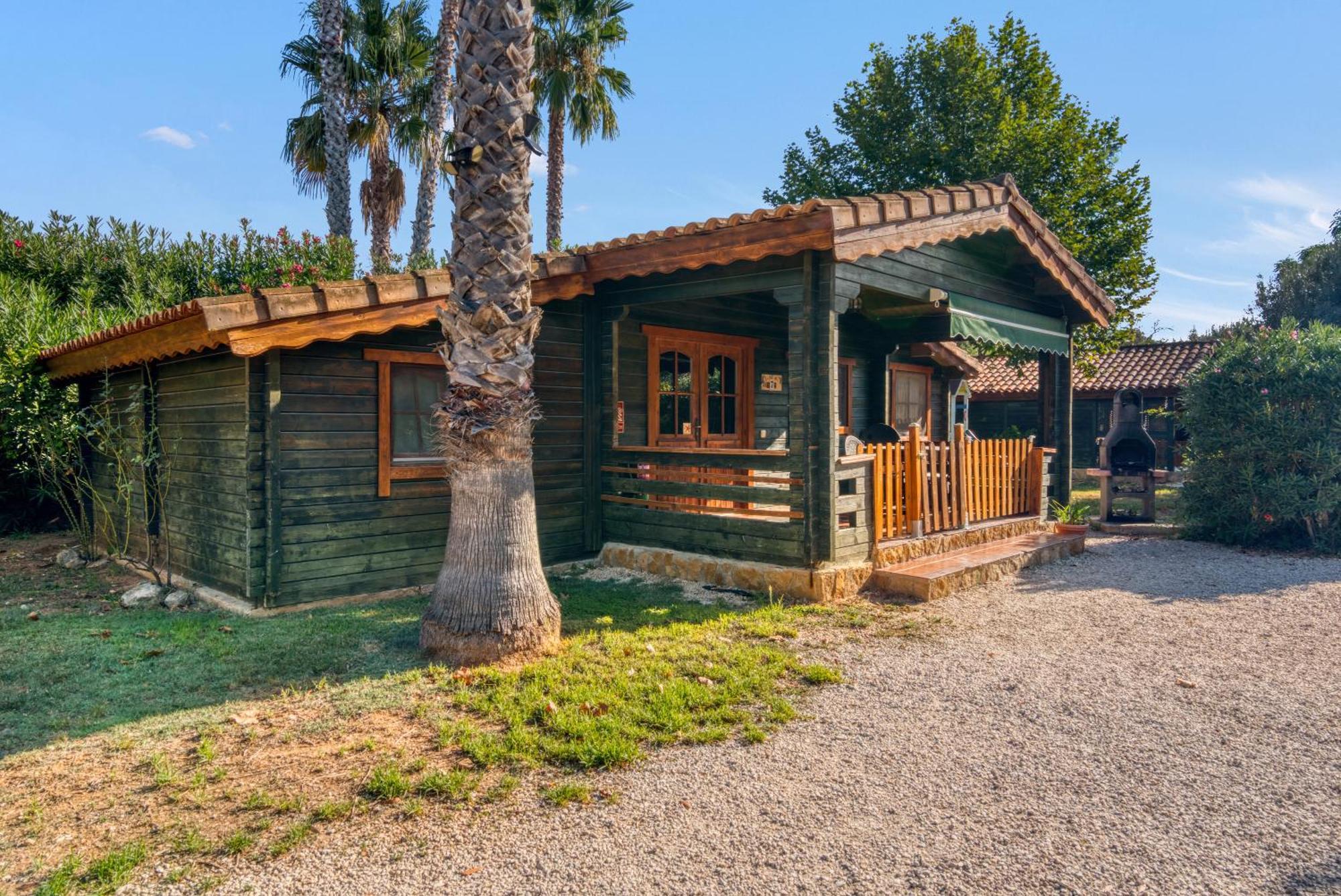Entre Viejos Olivos Villa Benicolet Bagian luar foto